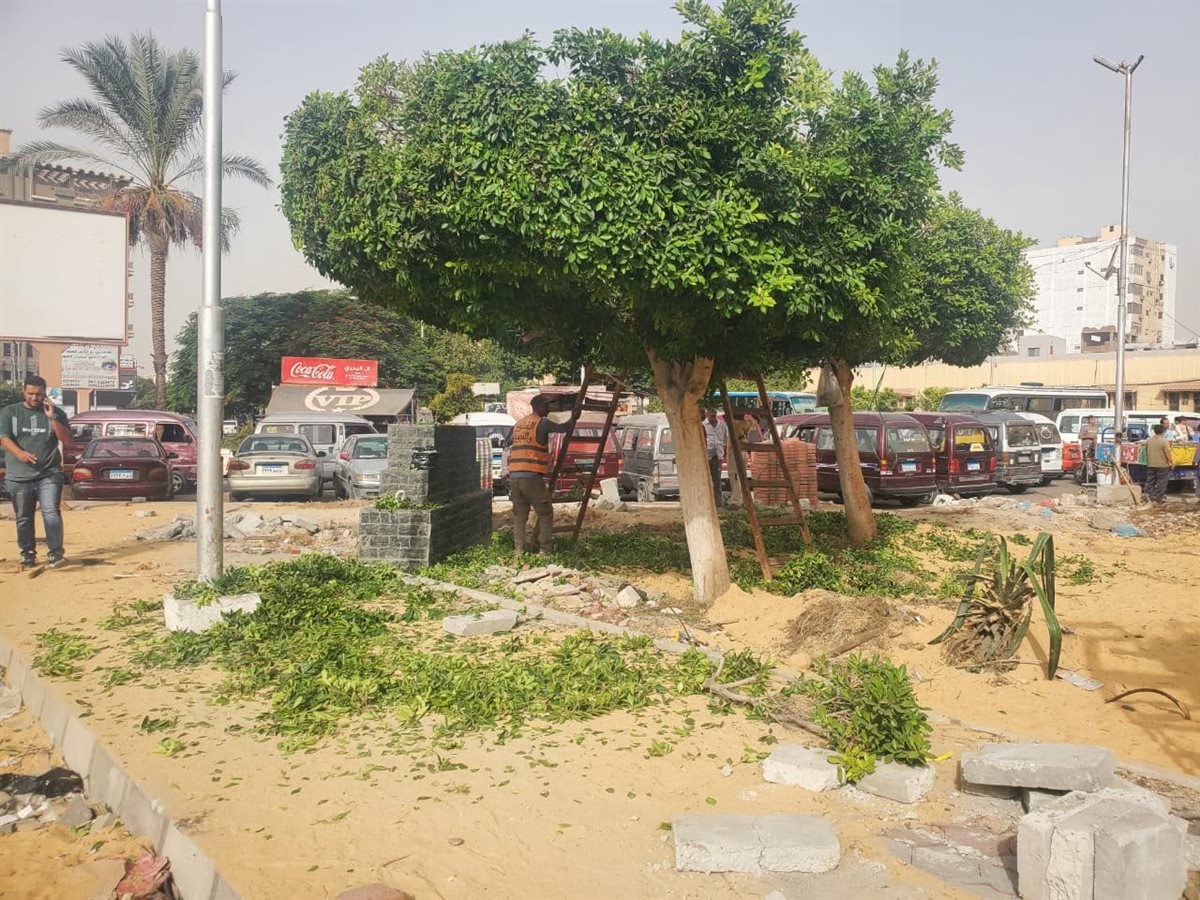 جانب من أعمال صيانة وتجميل الأشجار بميدان عرابي بالإسماعيلية، فيتو