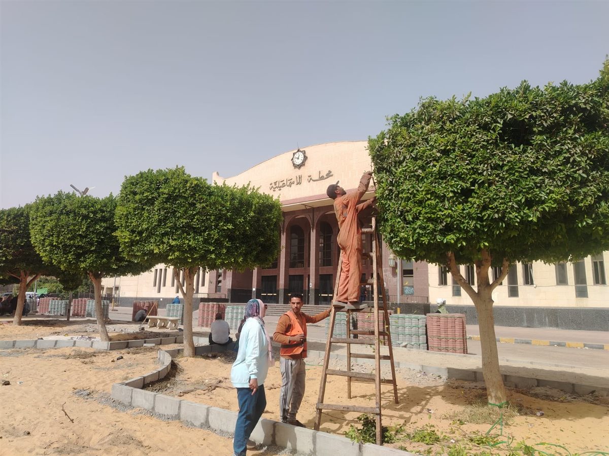 جانب من أعمال صيانة وتجميل الأشجار بميدان عرابي بالإسماعيلية، فيتو