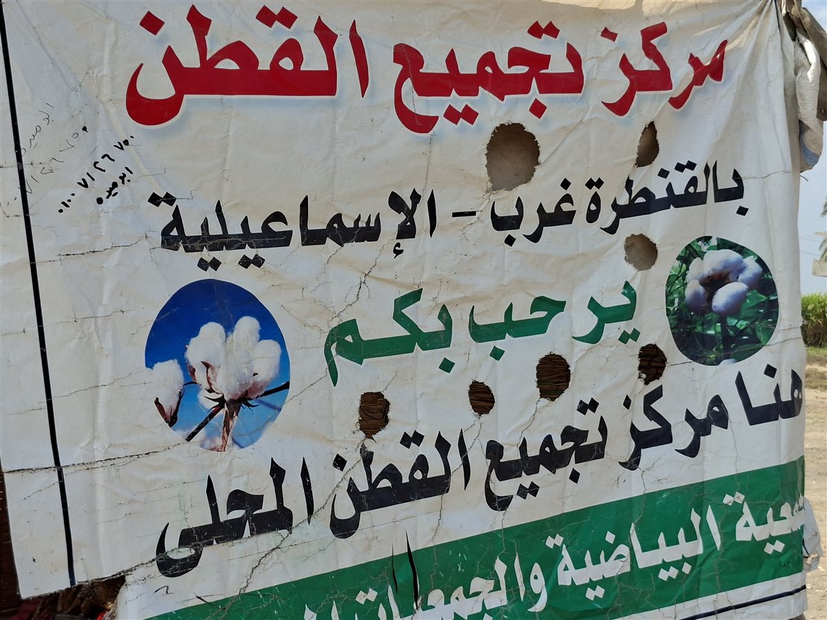 مركز تجميع الأقطان بالإسماعيلية،فيتو
