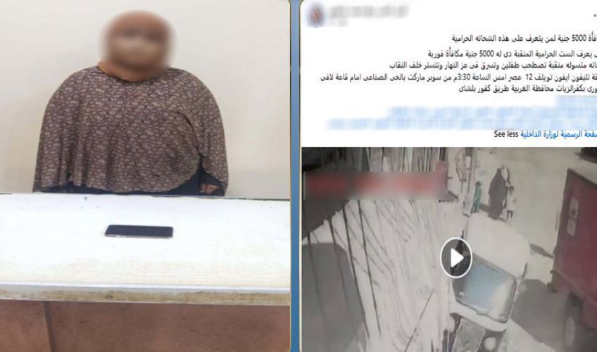 ضبط سيدة سرقت هاتف صاحب محل بأسلوب المغافلة في الغربية