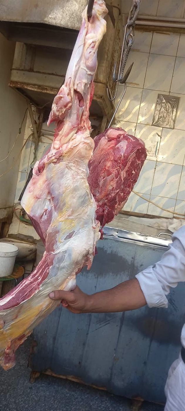 ضبط 214 كجم لحوم بقري غير صالحة للاستهلاك الآدمي في أسوان (صور)