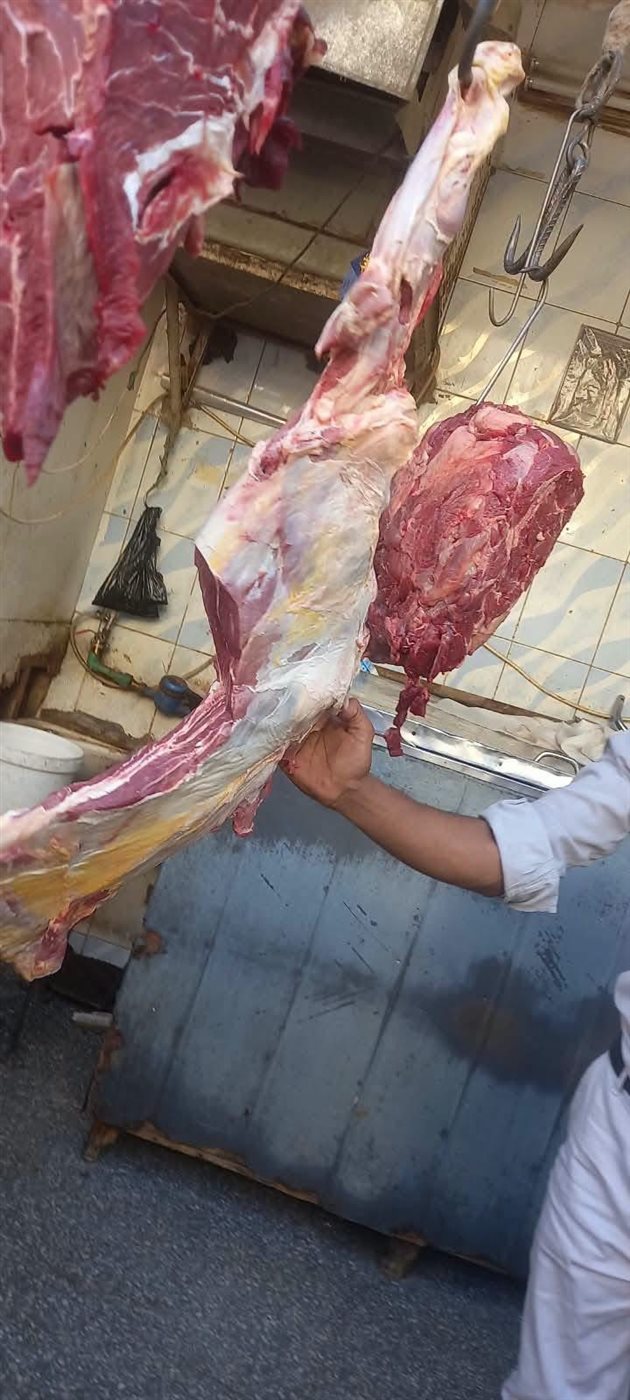 ضبط 214 كجم لحوم بقري غير صالحة للاستهلاك الآدمي في أسوان (صور)