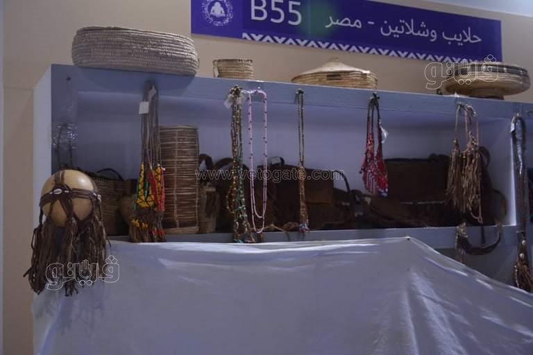 معرض القاهرة الدولي للكتاب (14)