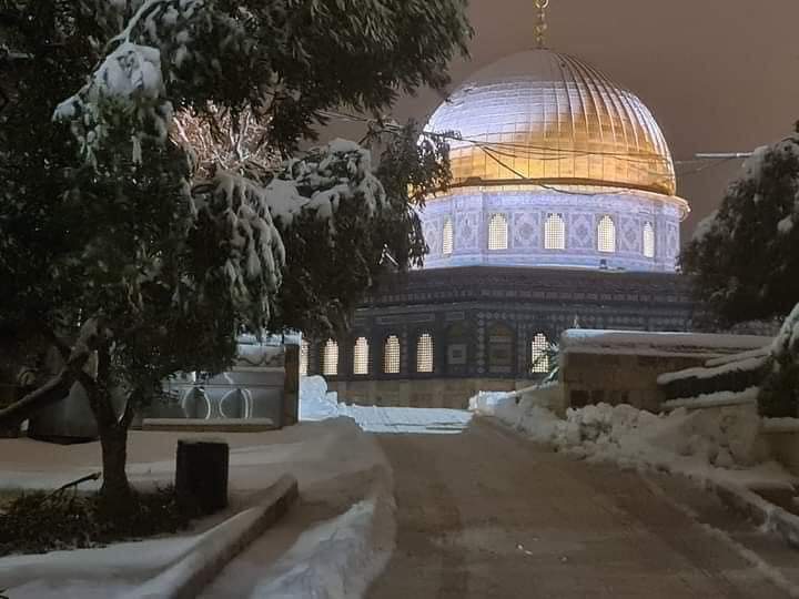 FB_IMG_1643482478752