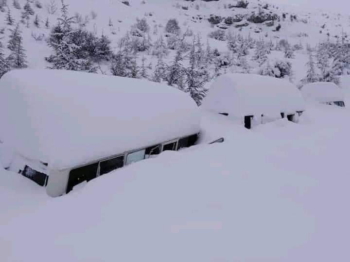 FB_IMG_1643482460655