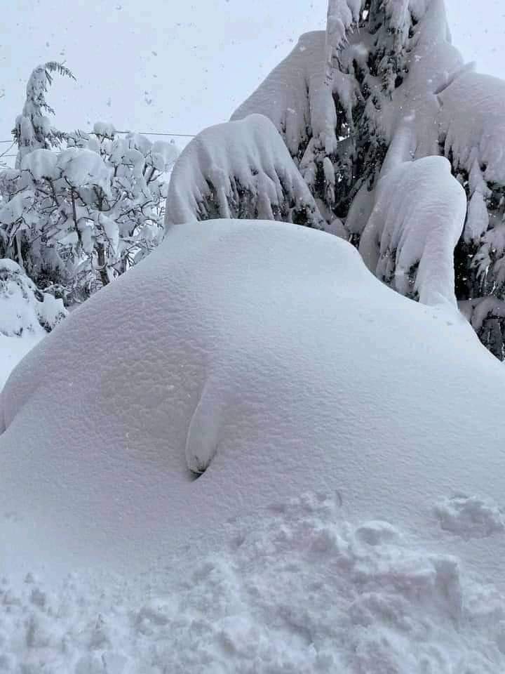 FB_IMG_1643482457123