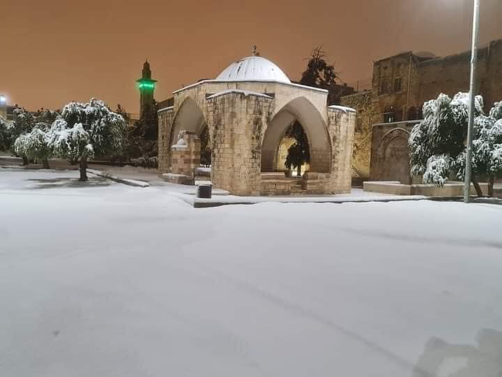 FB_IMG_1643482447131