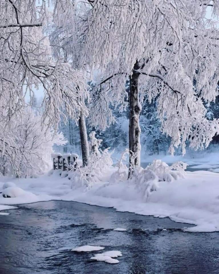 FB_IMG_1643482443274