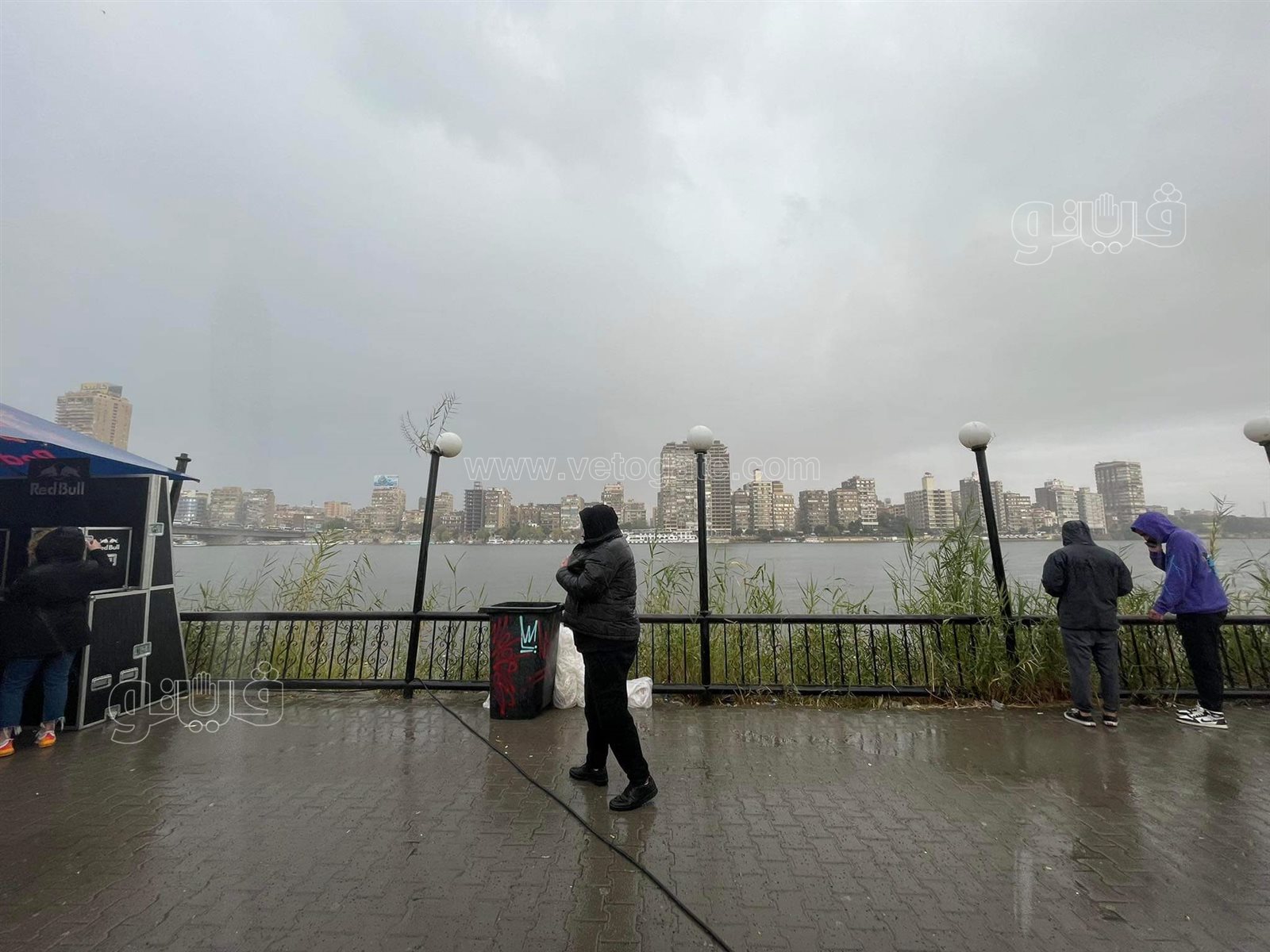 received_4923979394355441