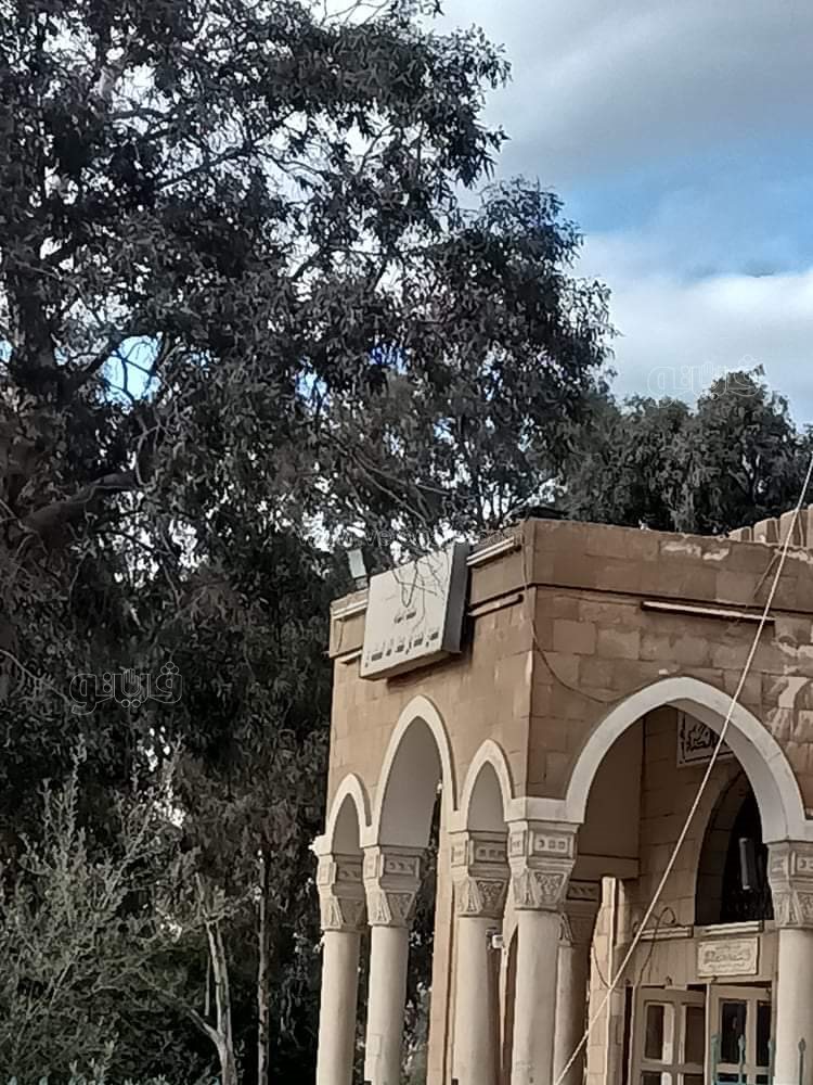 received_1636430390025851