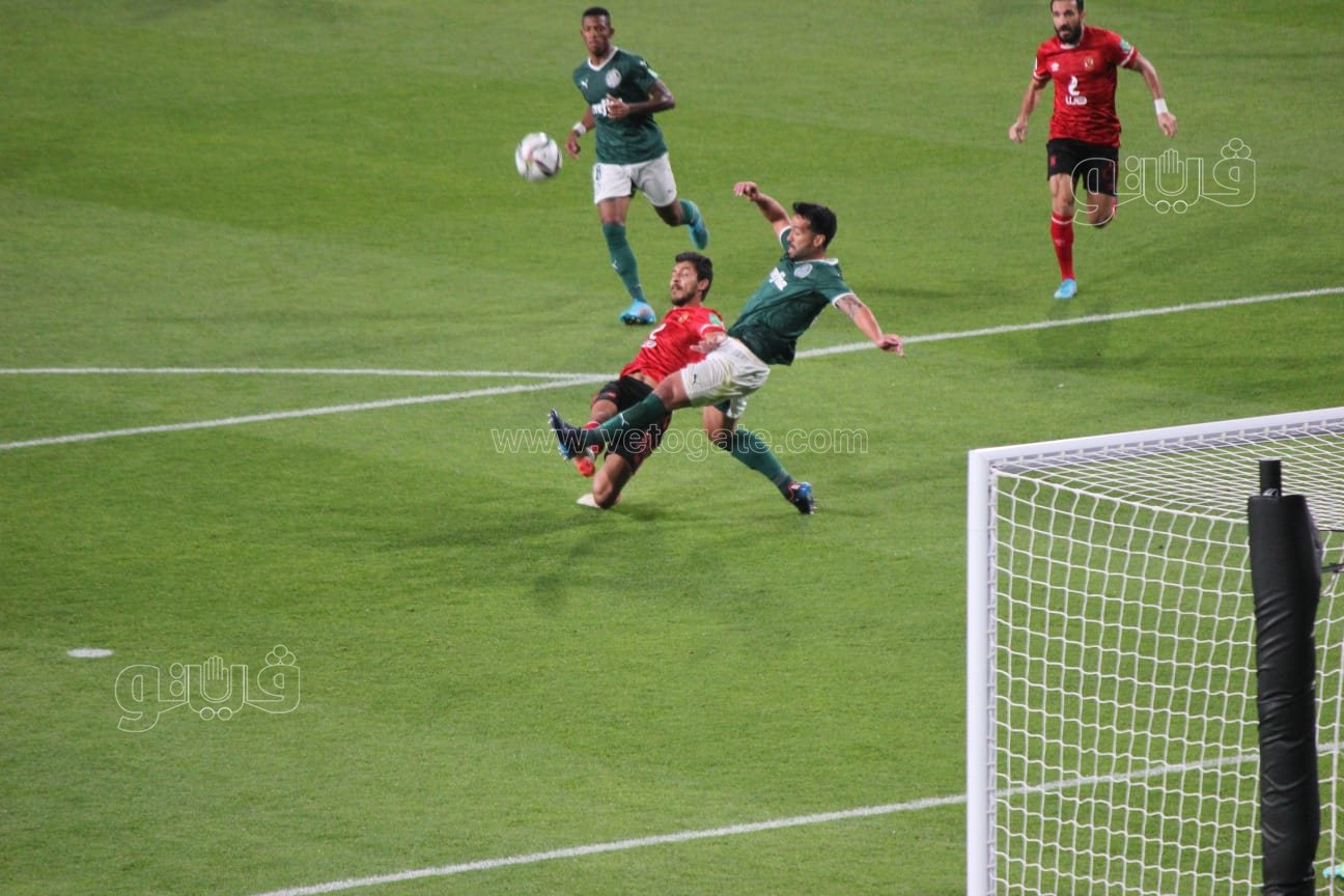 الأهلي وبالميراس (19)