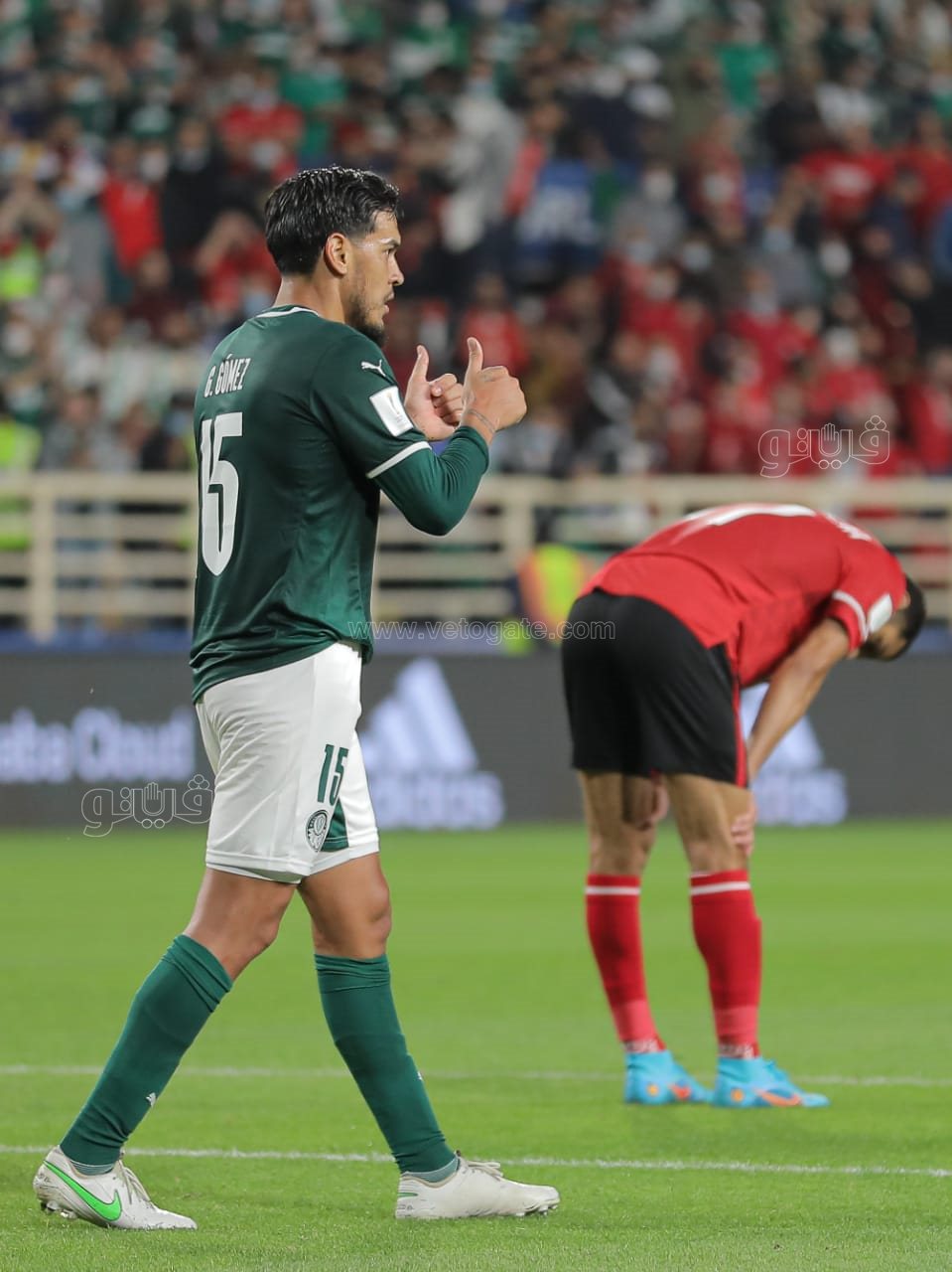 الأهلي وبالميراس (15)