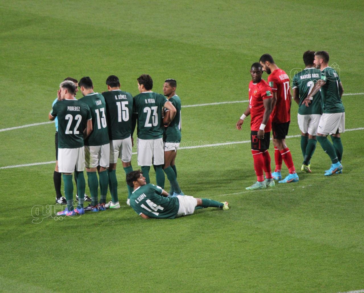 الأهلي وبالميراس (18)