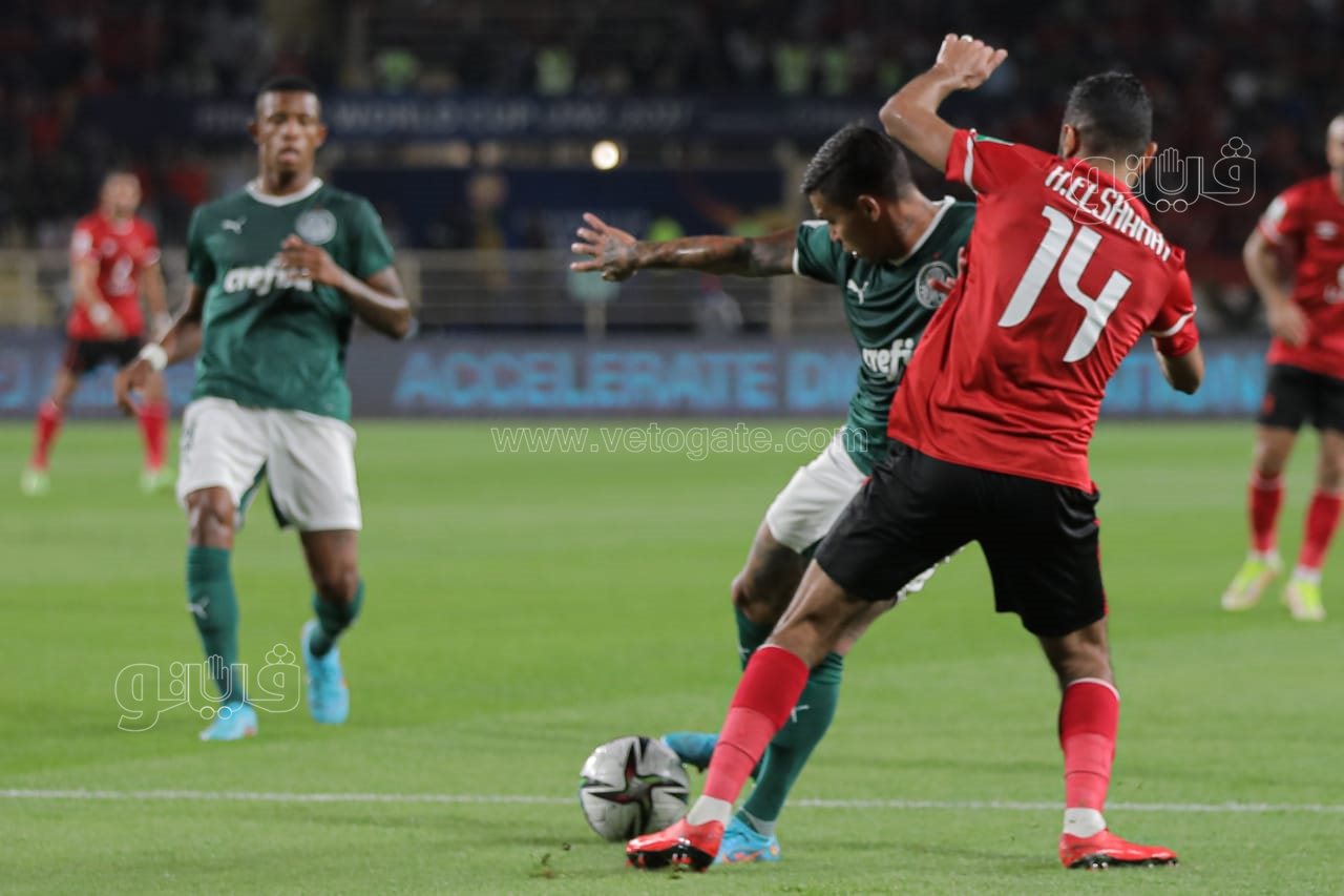 الأهلي وبالميراس (13)