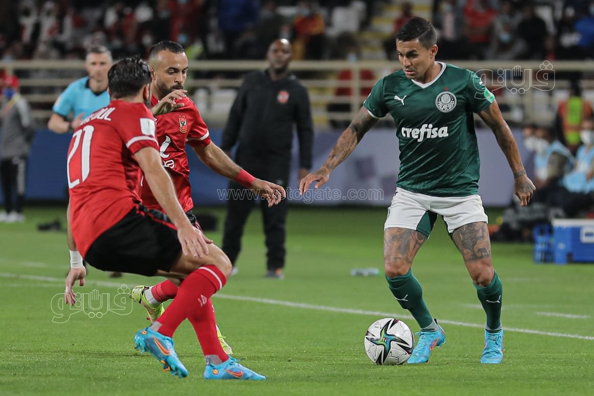 الأهلي وبالميراس (16)