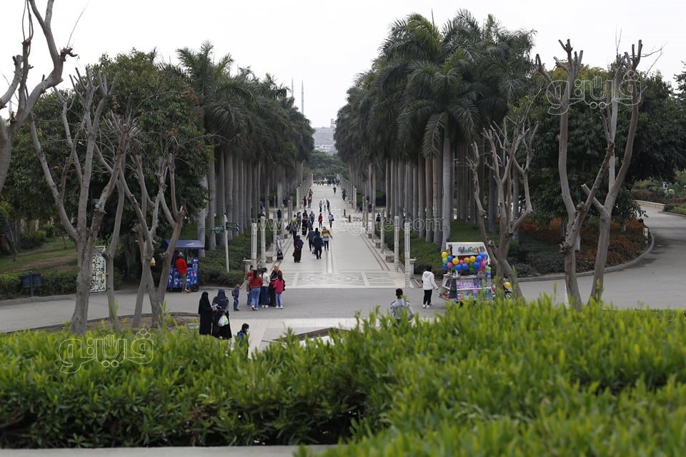 الاحتفال بعيد الحب (3)