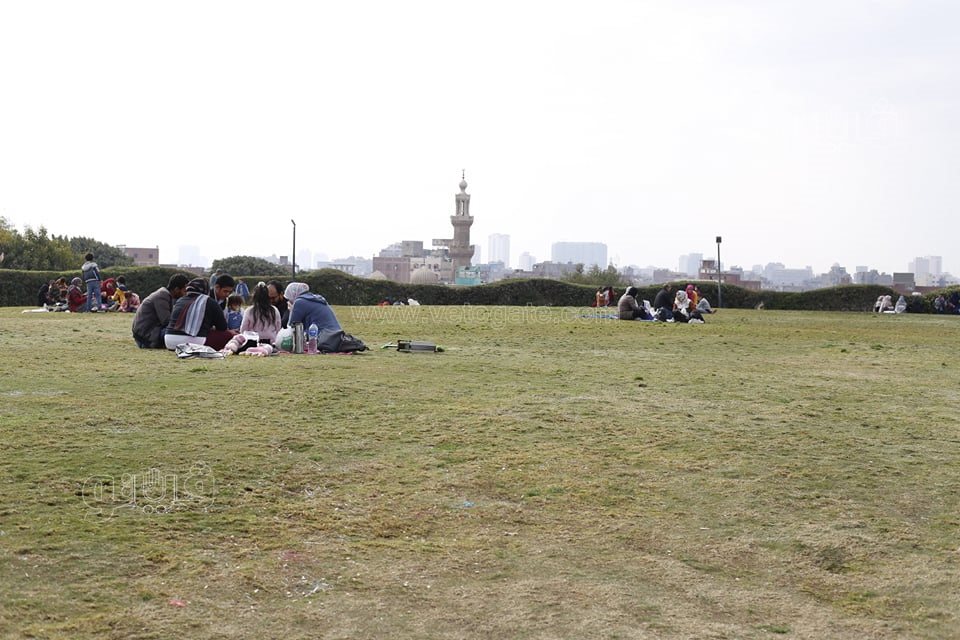 الاحتفال بعيد الحب (4)