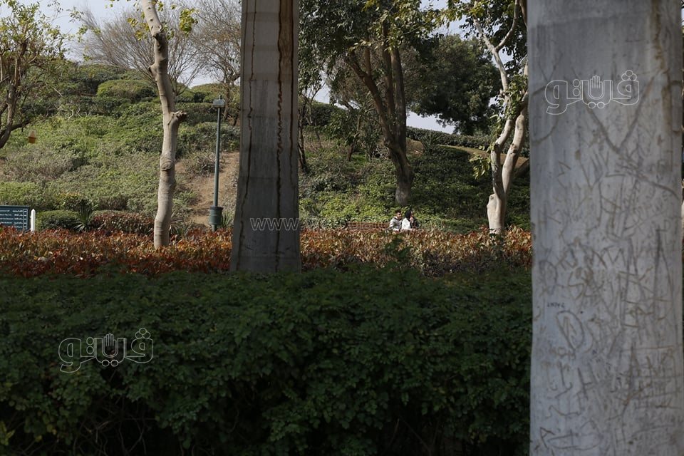 الاحتفال بعيد الحب (6)