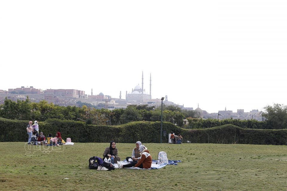 الاحتفال بعيد الحب (8)