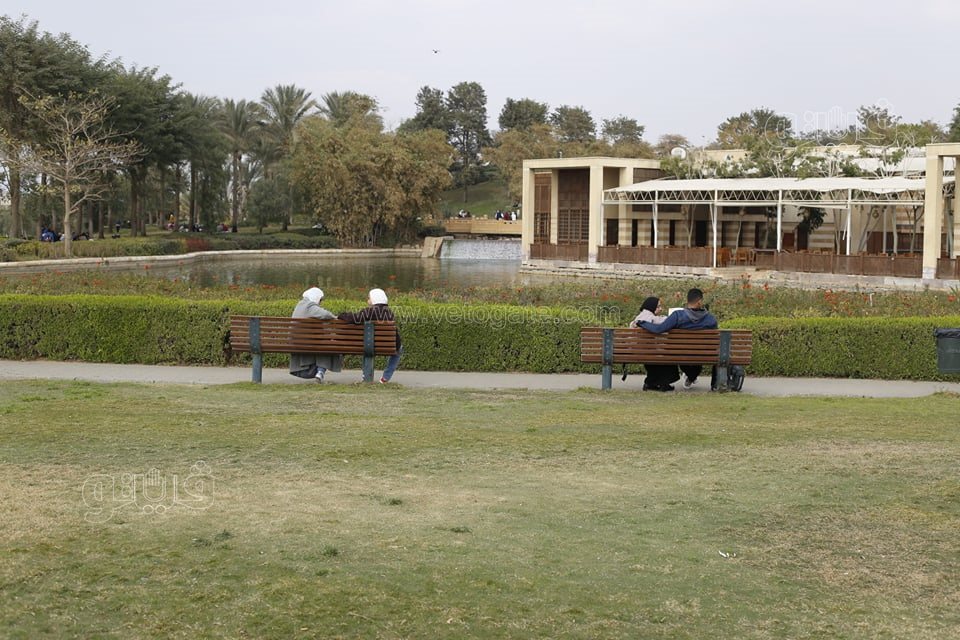 الاحتفال بعيد الحب (9)