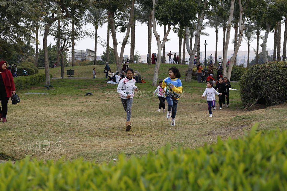 الاحتفال بعيد الحب (15)