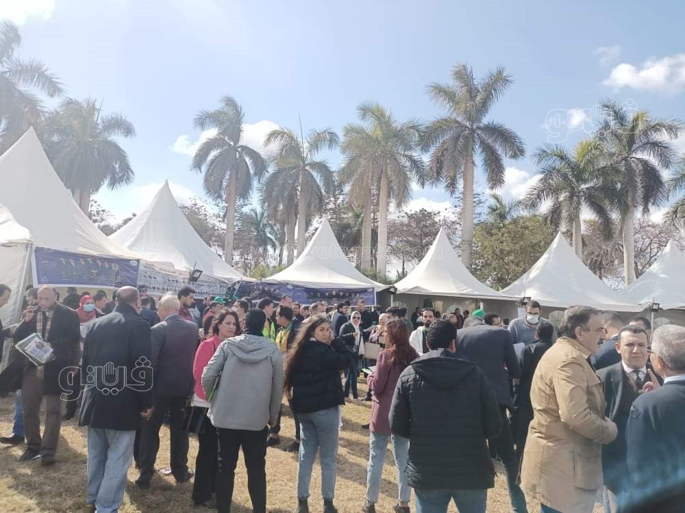 انتخابات المهندسين في القاهرة6