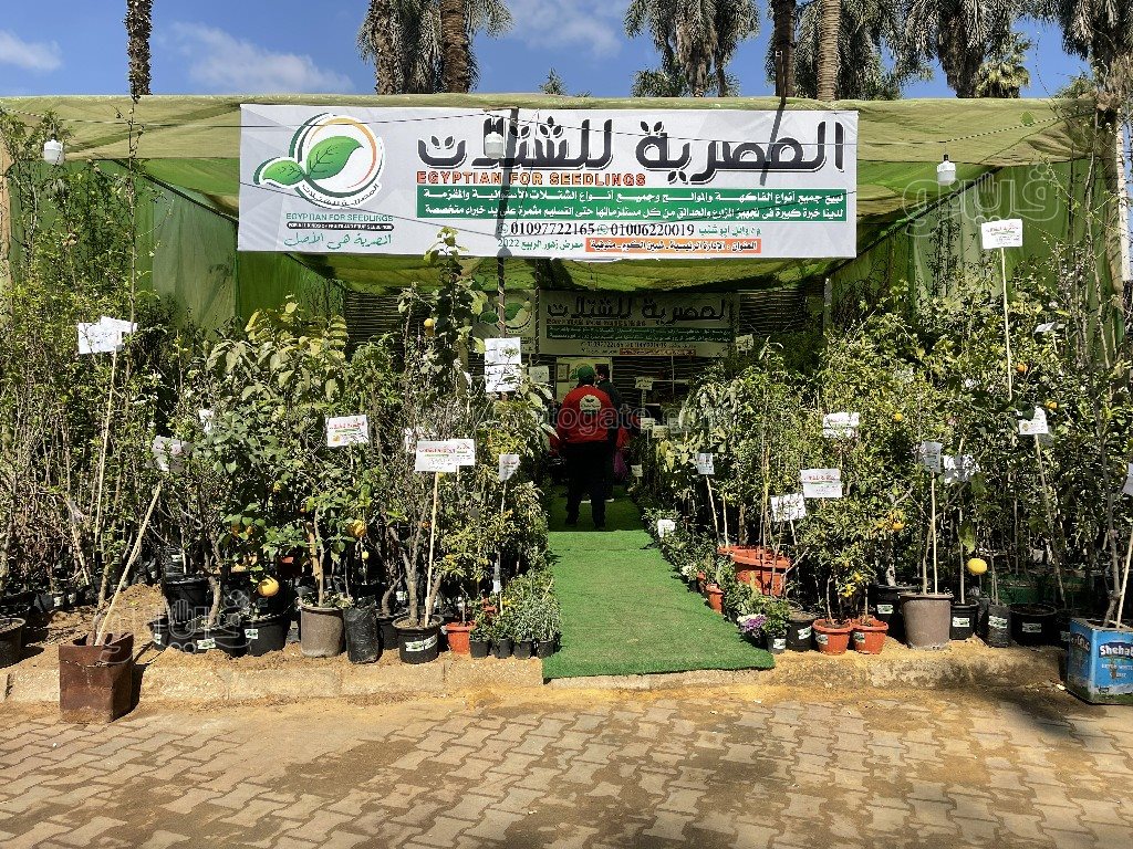 معرض زهور الربيع (16)