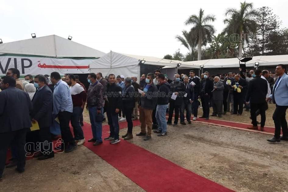 توافد أعضاء الجمعية العمومية في انتخابات المهندسين بالقاهرة (9)