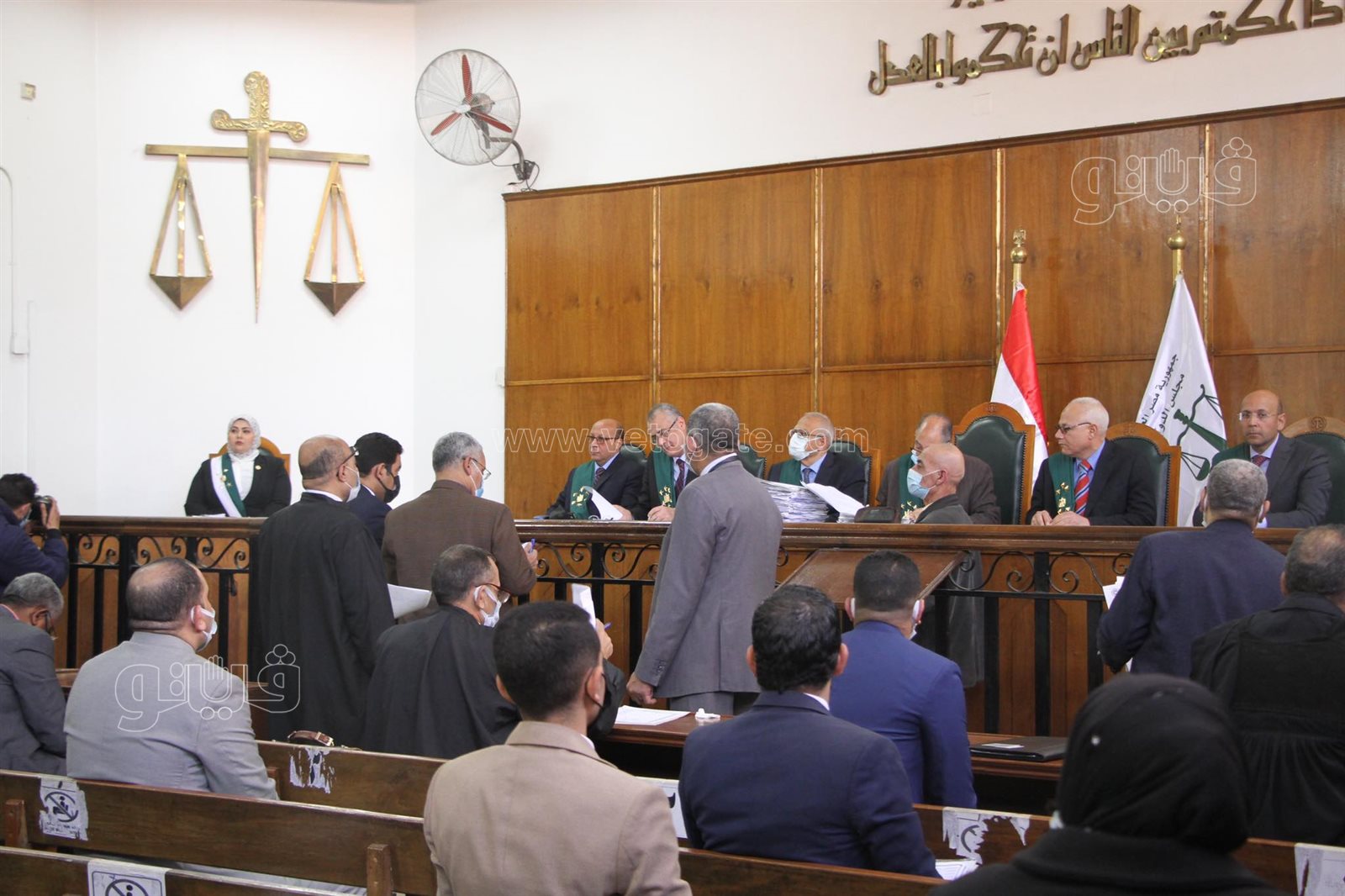 القاضيات في محاكم مجلس الدولة (13)