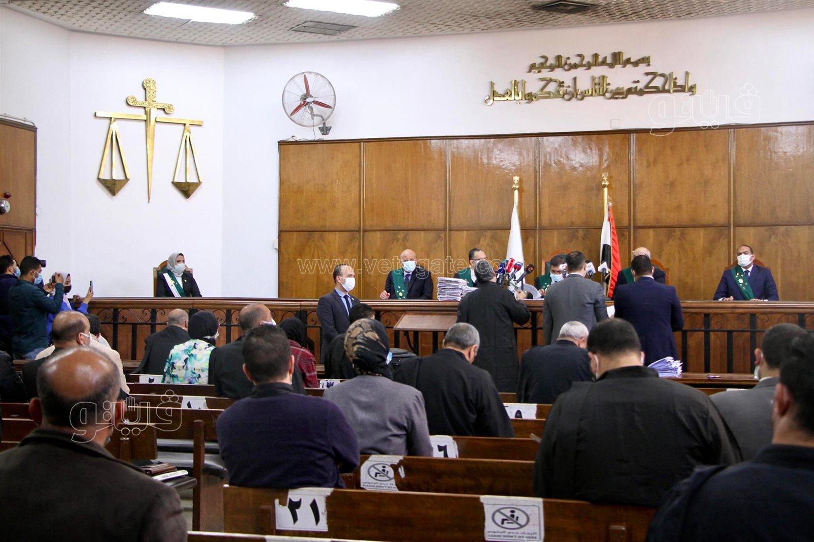 القاضيات في محاكم مجلس الدولة (18)