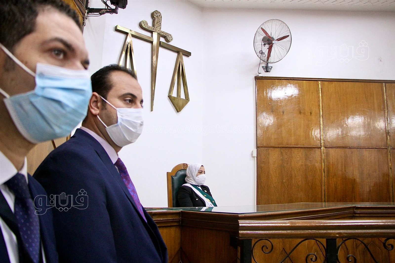 القاضيات في محاكم مجلس الدولة (8)