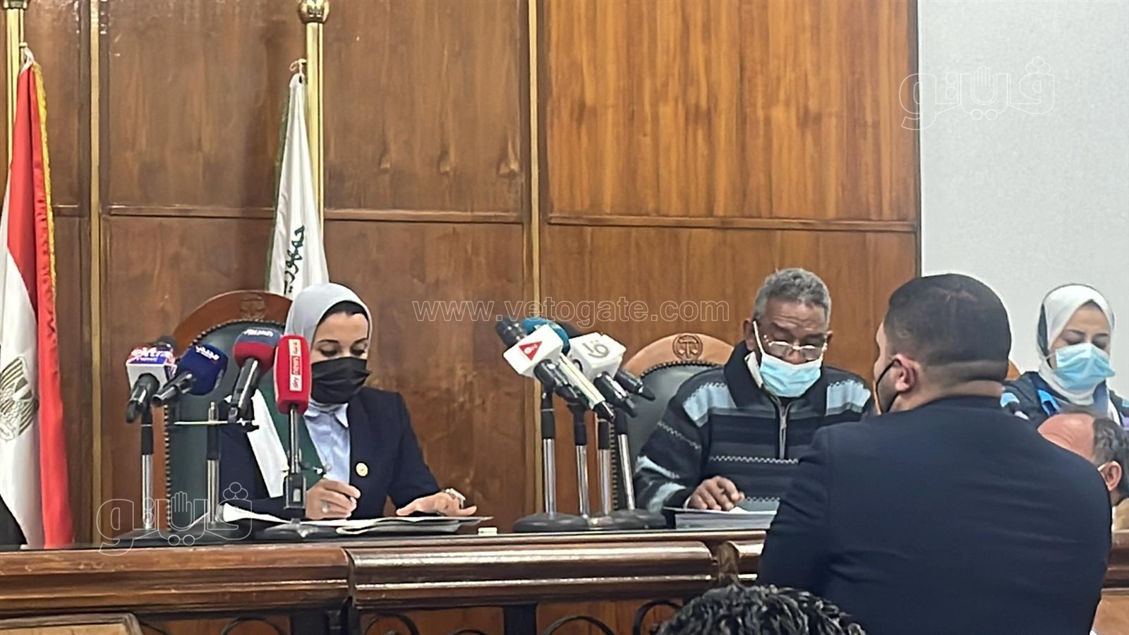 قاضية تدير جلسة على منصة مجلس الدولة (2)