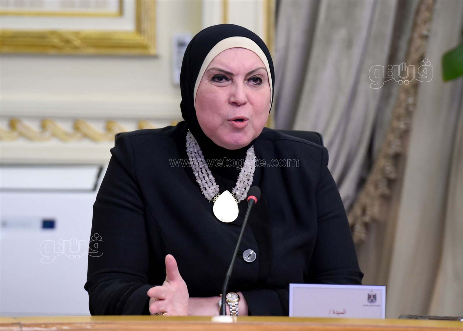 المؤتمر الصحفي لرئيس الوزراء (13)