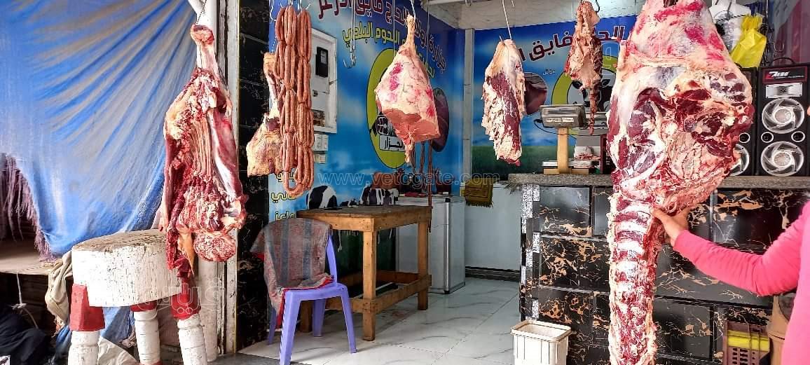 received_1662189524143064