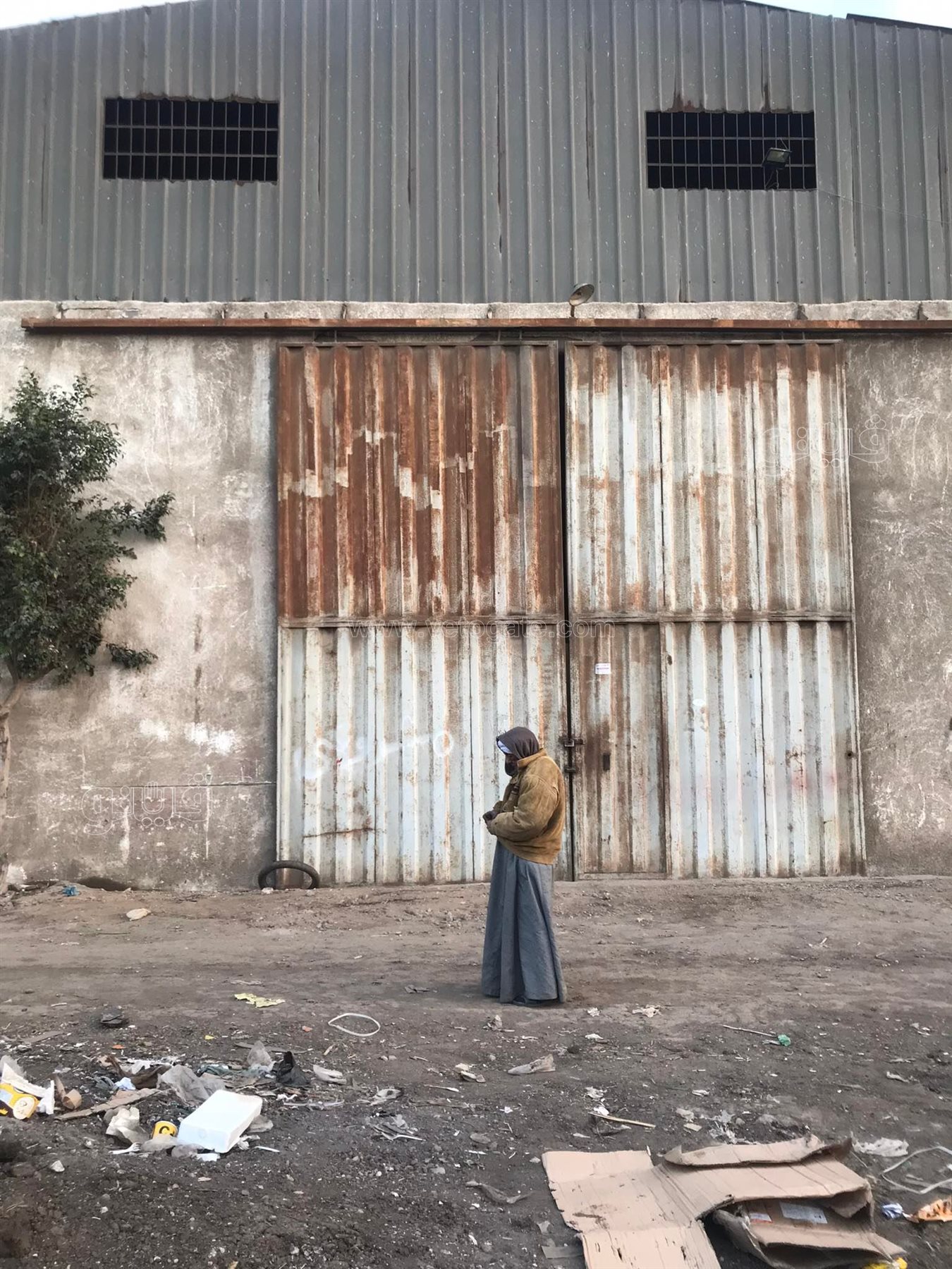 غيوم وانخفاض درجات الحرارة...أجواء شتوية تسيطر على الدقهلية (4)