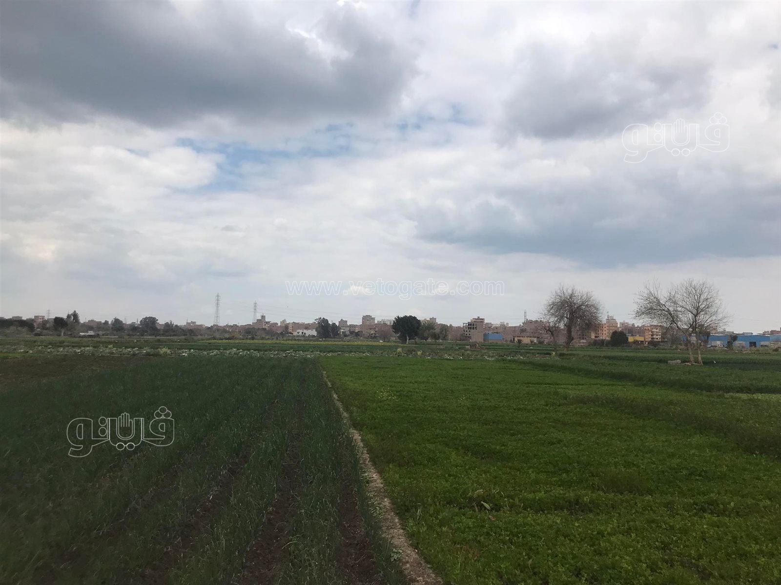 غيوم وانخفاض درجات الحرارة...أجواء شتوية تسيطر على الدقهلية (5)