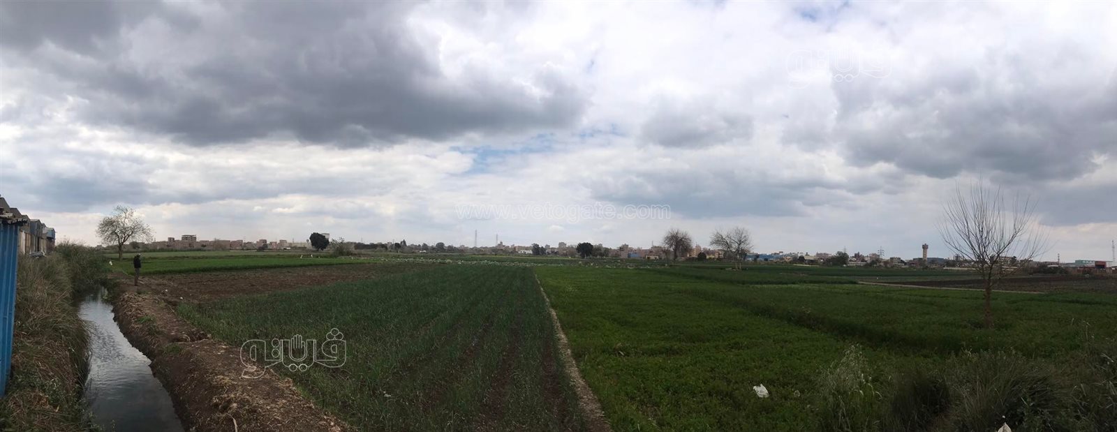 غيوم وانخفاض درجات الحرارة...أجواء شتوية تسيطر على الدقهلية (9)