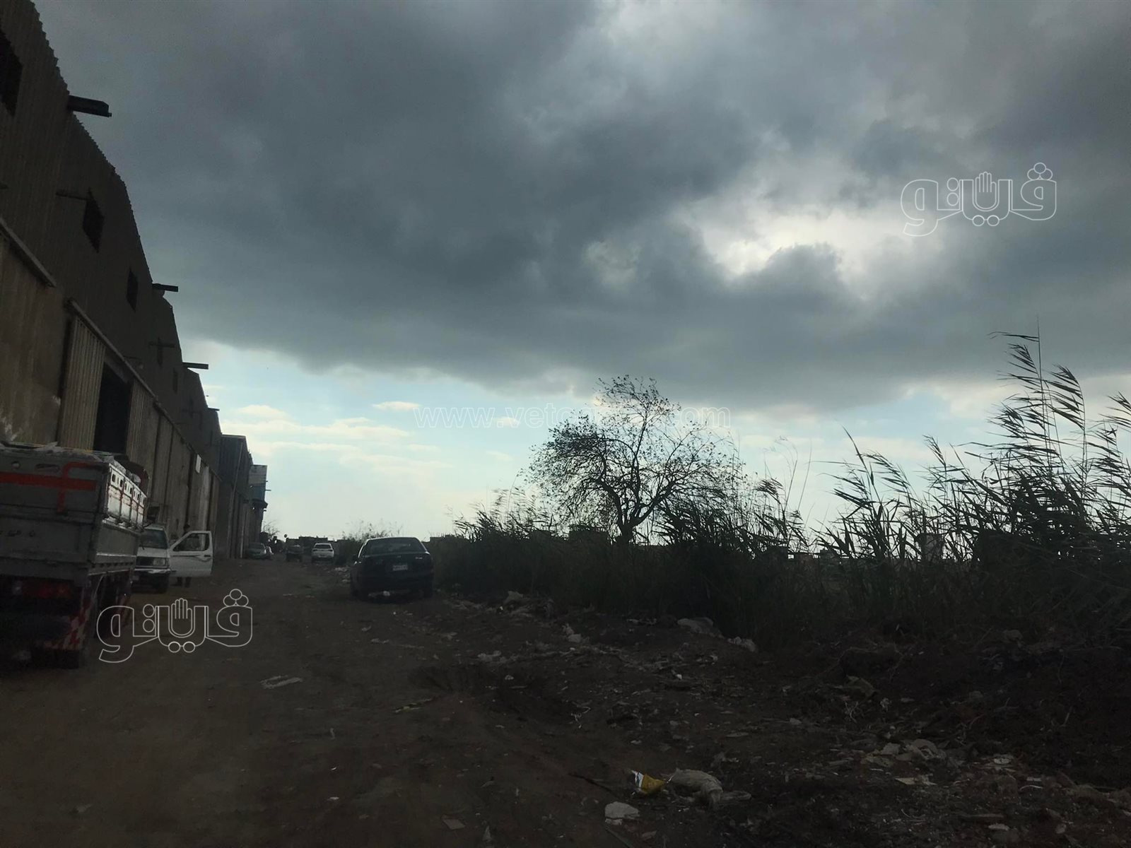 غيوم وانخفاض درجات الحرارة...أجواء شتوية تسيطر على الدقهلية (6)