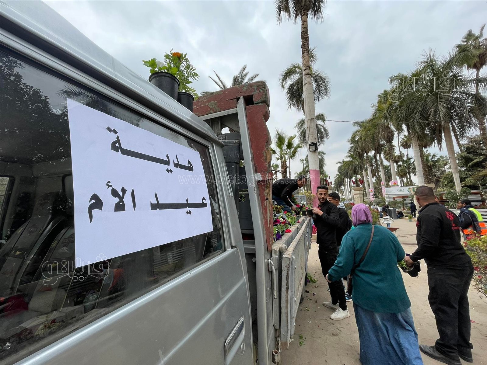 في عيد الأم.. عمال معرض الزهور يوزعون الورد على الأمهات (2)