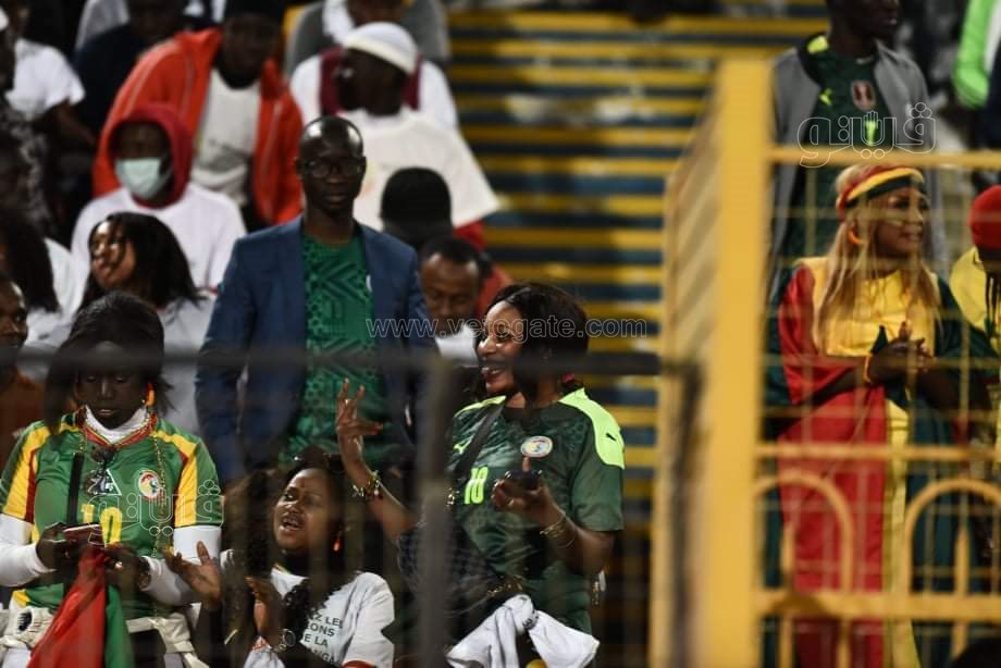 جماهير السنغال (7)