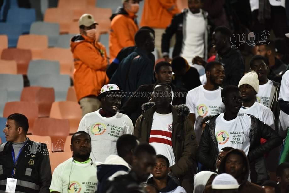 جماهير السنغال (8)