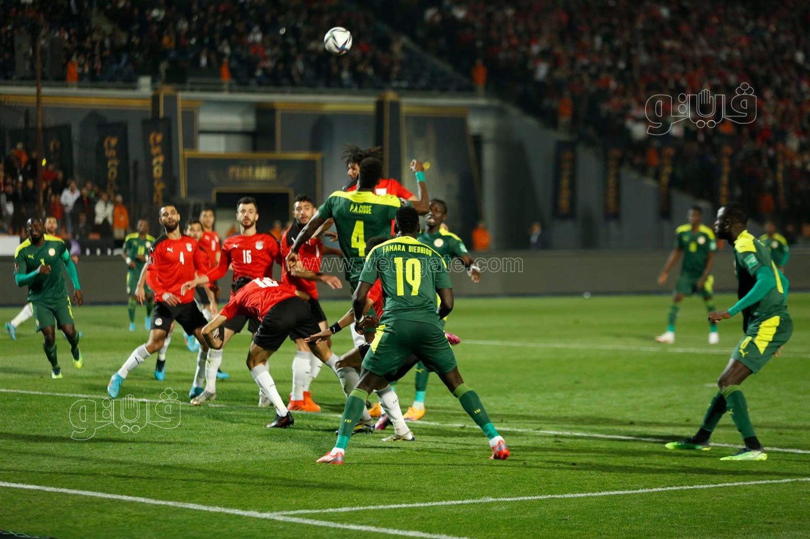 منتخب مصر والسنغال (25)