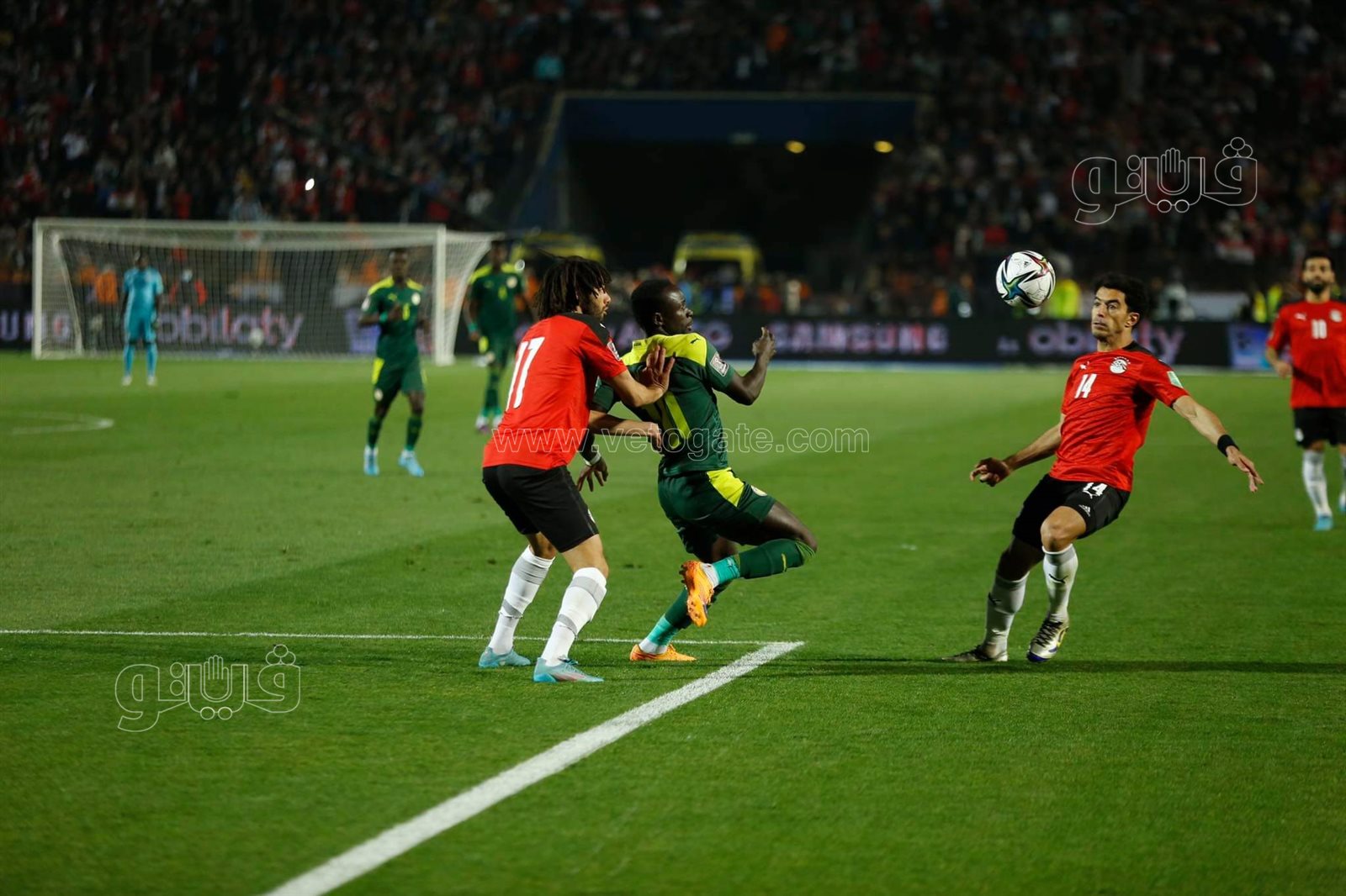 منتخب مصر والسنغال (40)