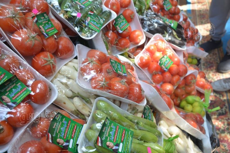 حديقة الأورمان (8)