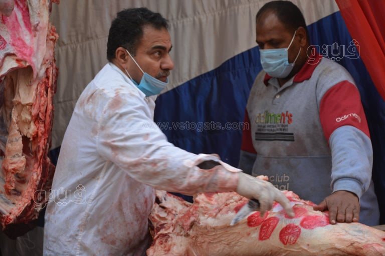 حديقة الأورمان (6)