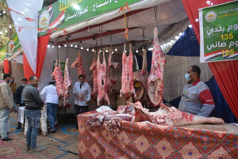 حديقة الأورمان (12)