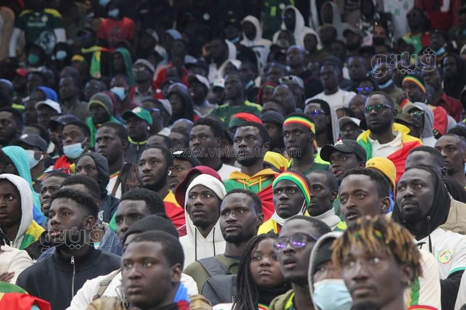  احتفالات السنغال بالتأهل لكأس العالم (3)