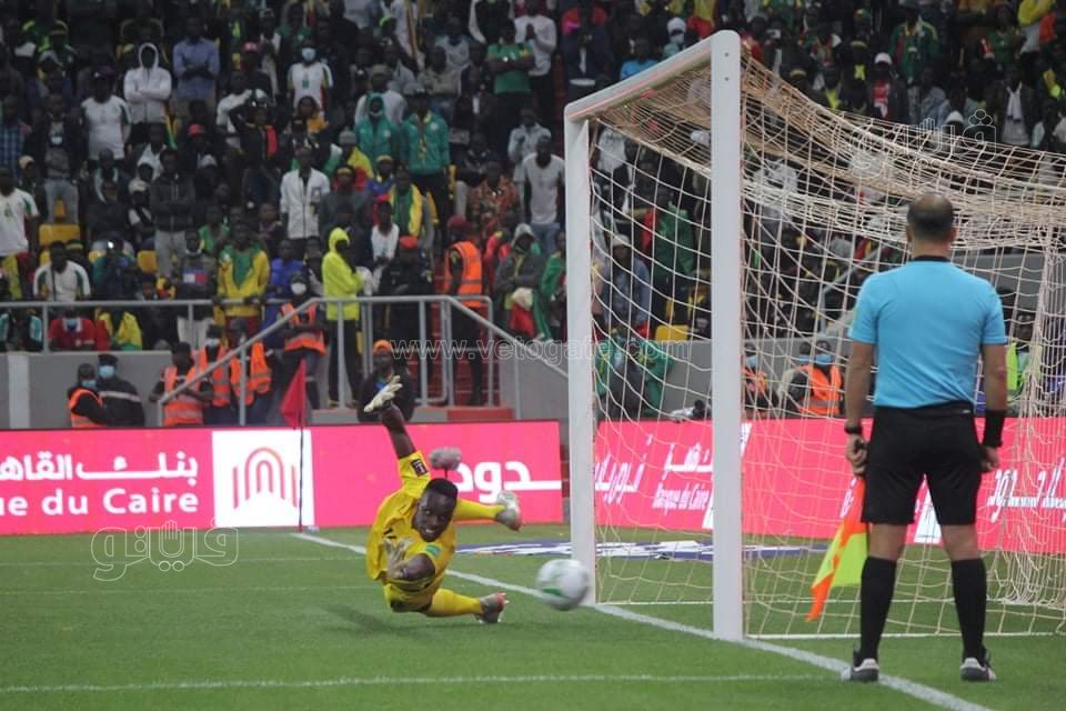  احتفالات السنغال بالتأهل لكأس العالم (4)