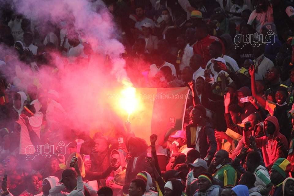  احتفالات السنغال بالتأهل لكأس العالم (5)