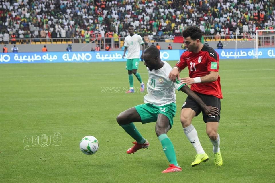 مصر والسنغال (13)